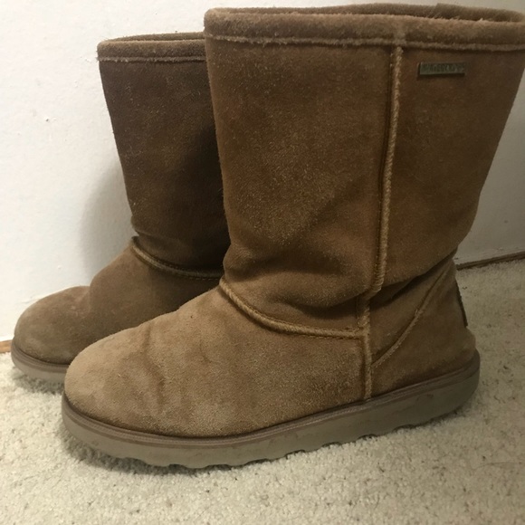 bearpaw uggs